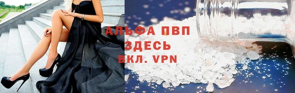ПСИЛОЦИБИНОВЫЕ ГРИБЫ Пересвет