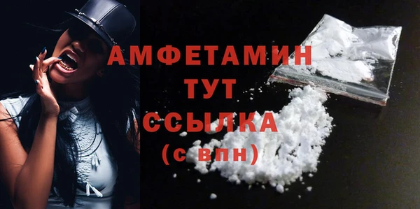 прущие грибы Переславль-Залесский