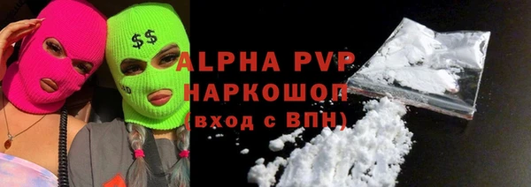 прущие грибы Переславль-Залесский