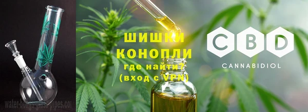 прущие грибы Переславль-Залесский