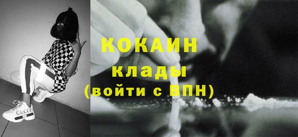 ПСИЛОЦИБИНОВЫЕ ГРИБЫ Пересвет
