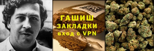прущие грибы Переславль-Залесский