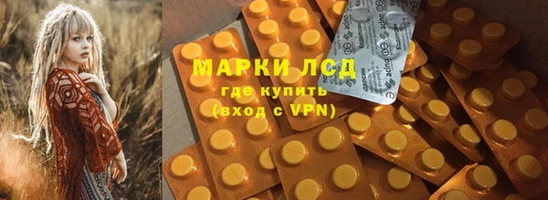 прущие грибы Переславль-Залесский